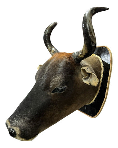 Cabeça De Boi Empalhada - Decoração De Parede Country