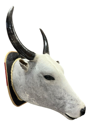Cabeça De Boi Empalhada - Decoração De Parede Country