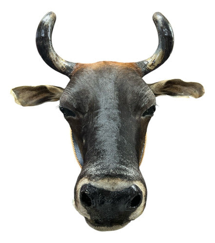 Cabeça De Boi Empalhada - Decoração De Parede Country