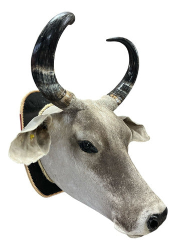Cabeça De Boi Empalhada - Decoração De Parede Country
