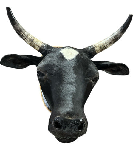 Cabeça De Boi Empalhada - Decoração De Parede Country