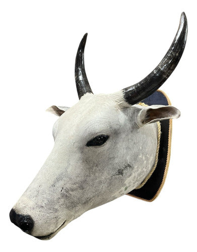 Cabeça De Boi Empalhada - Decoração De Parede Country