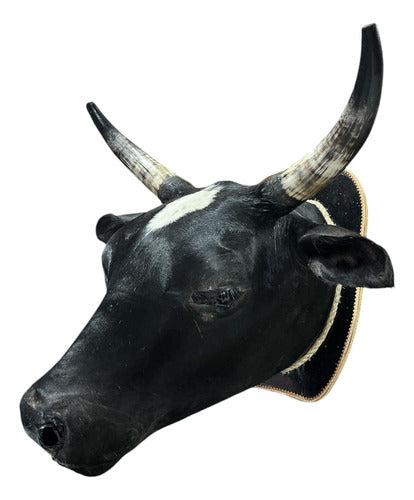 Cabeça De Boi Empalhada - Decoração De Parede Country