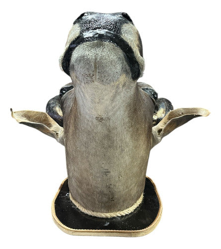 Cabeça De Boi Empalhada - Decoração De Parede Country
