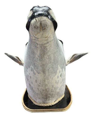 Cabeça De Boi Empalhada - Decoração De Parede Country