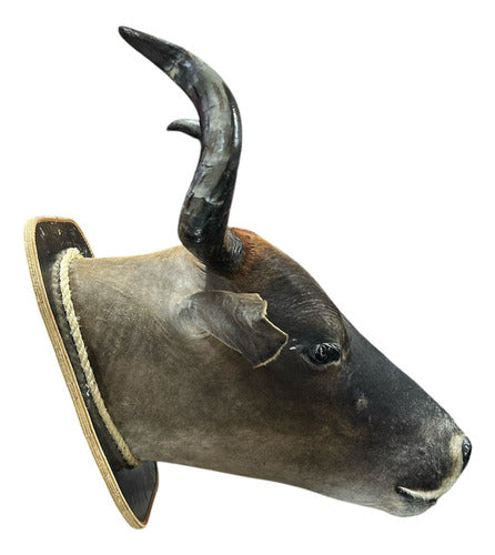 Cabeça De Boi Empalhada - Decoração De Parede Country