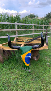 Crânio Real Bovino com Bandeira do Brasil