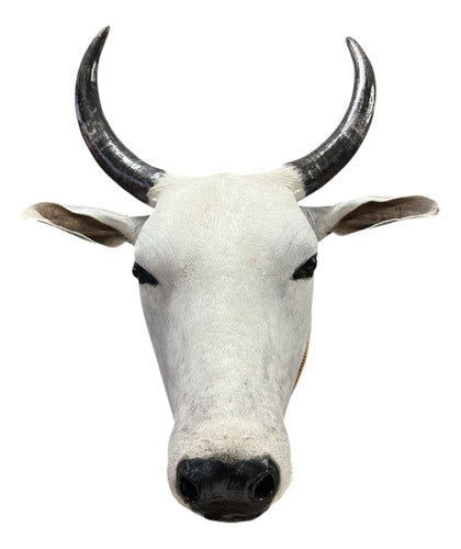 Cabeça De Boi Empalhada - Decoração De Parede Country