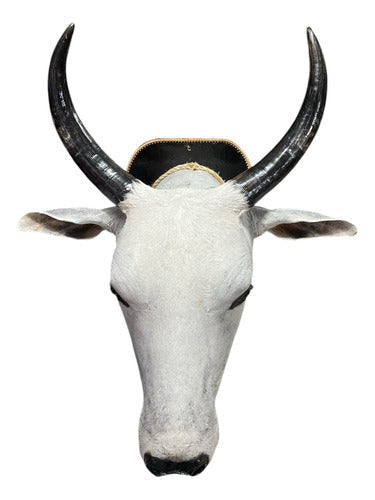 Cabeça De Boi Empalhada - Decoração De Parede Country
