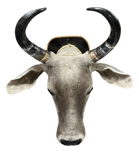 Cabeça De Boi Empalhada - Decoração De Parede Country