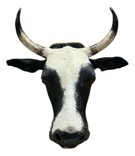 Cabeça De Boi Empalhada - Decoração De Parede Country