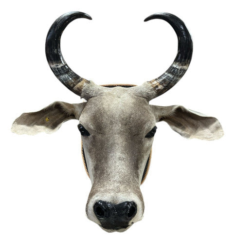 Cabeça De Boi Empalhada - Decoração De Parede Country