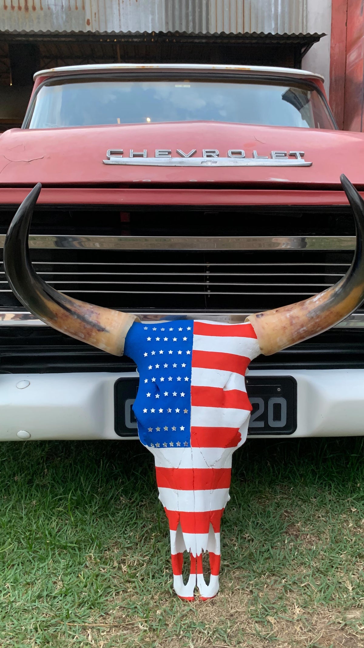 Crânio Real Bovino com Pintura Inspirada na Bandeira do Estados Unidos – Estilo Autêntico
