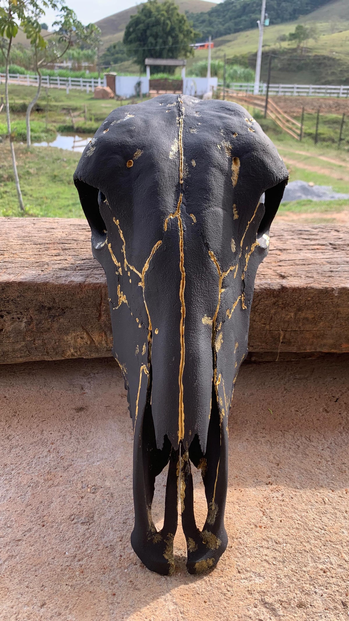 Crânio Real Bovino Preto com Detalhes Dourados – Estilo Kintsugi