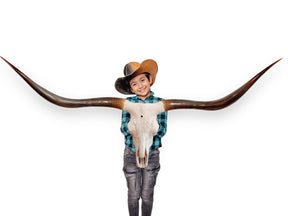 Crânio Real de Touro - Chifre LongHorn